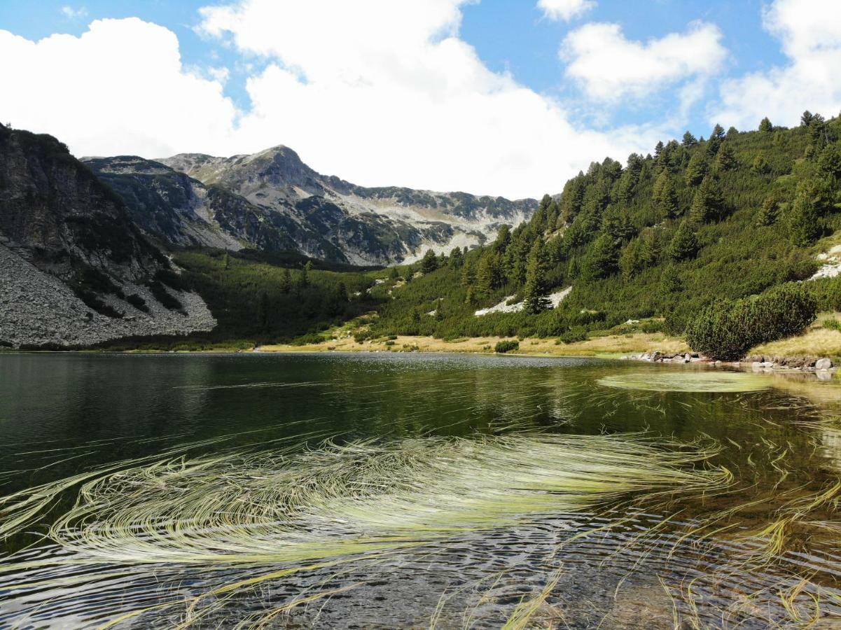 Great Location Near Lift Apartment Bansko Bagian luar foto